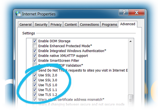 TTWin_internetoptions_advancedsettings.png